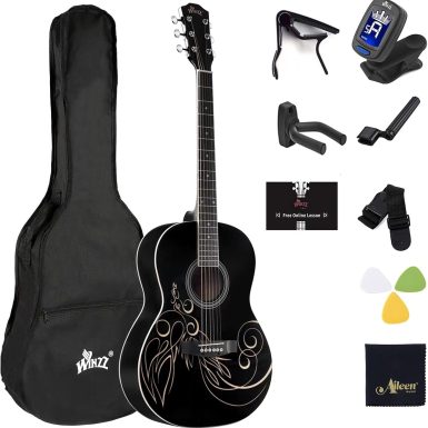 WINZZ AF227A 39 Inches Concert Acoustic Acustica Guitar with Full Kit, Delicate Vine